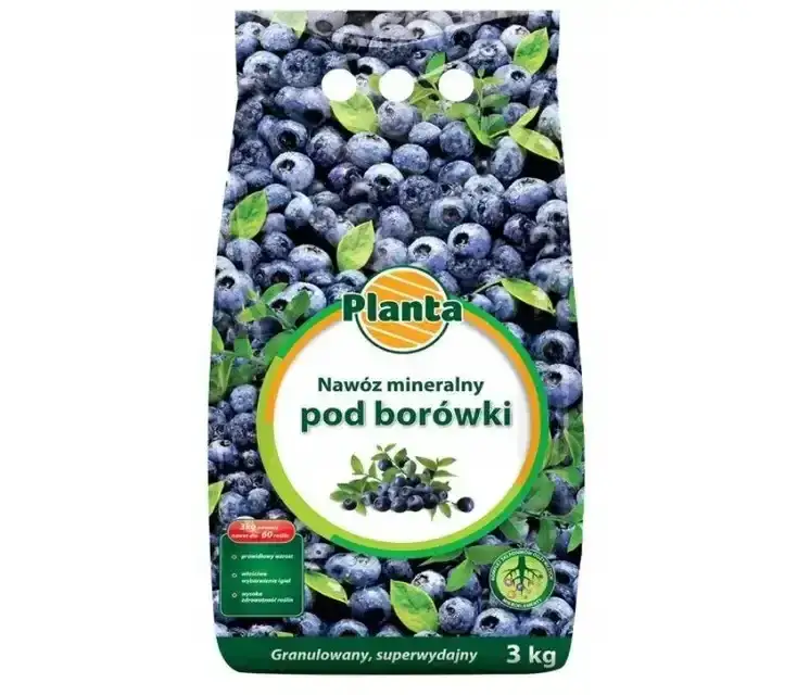 Jakie nawozy pod borówkę amerykańską zapewnią zdrowe plony?