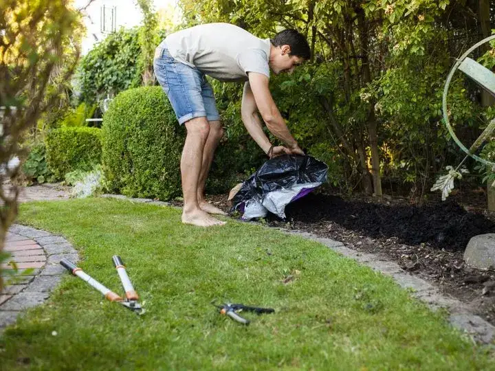 Czy siać już nawóz? Dowiedz się, kiedy najlepiej nawozić trawnik