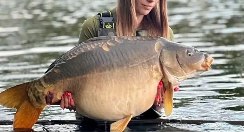 Eko Lakes Wójcina - idealne łowisko karpiowe z wyjątkowymi rybami