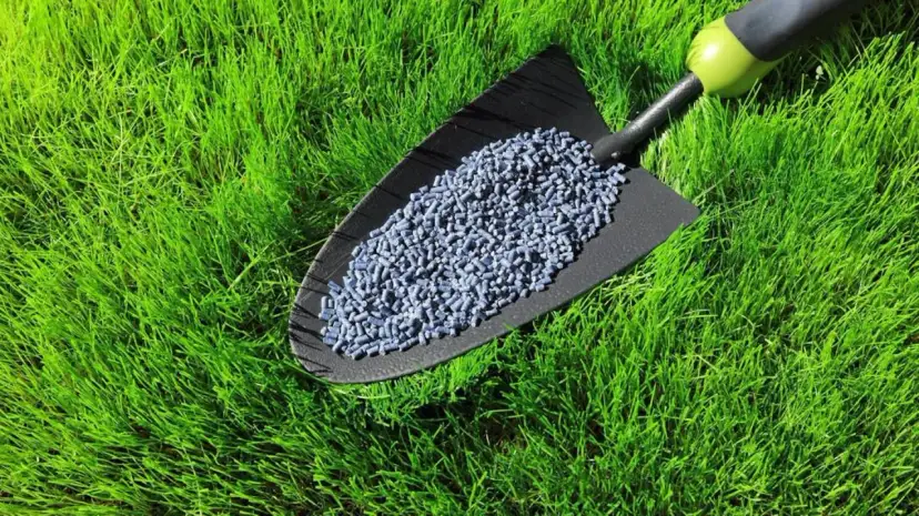 Jaki nawóz przed posianiem trawy, aby uniknąć błędów w pielęgnacji?