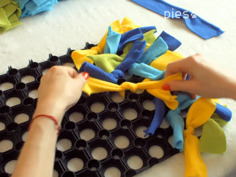 Jak zrobić matę węchową dla psa, aby zapewnić mu radość i zabawę