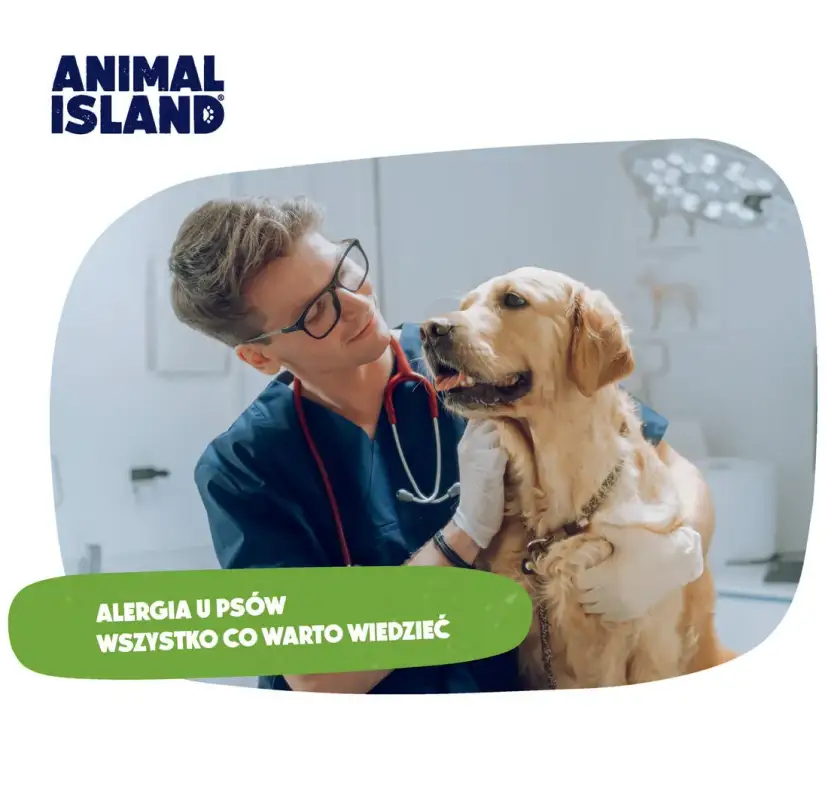 Alergia na psa objawy – rozpoznaj objawy i uniknij problemów zdrowotnych