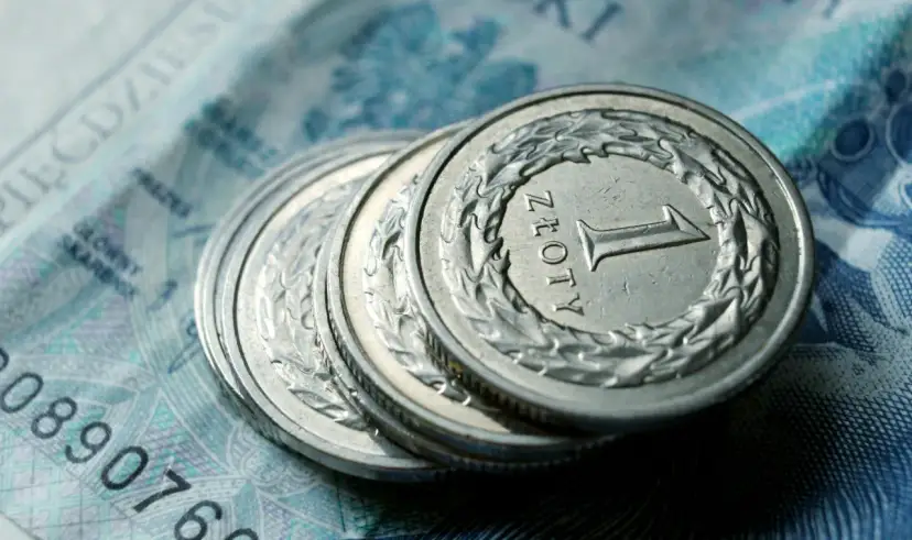 Monety 1 zł na tle banknotu. Zastanawiasz się, ile zarabia opiekunka w żłobku państwowym?