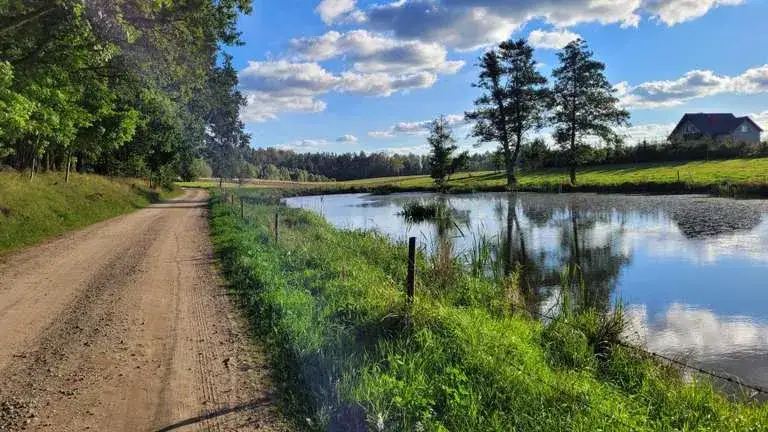 Najciekawsze atrakcje w Żukowie, które musisz zobaczyć podczas wizyty