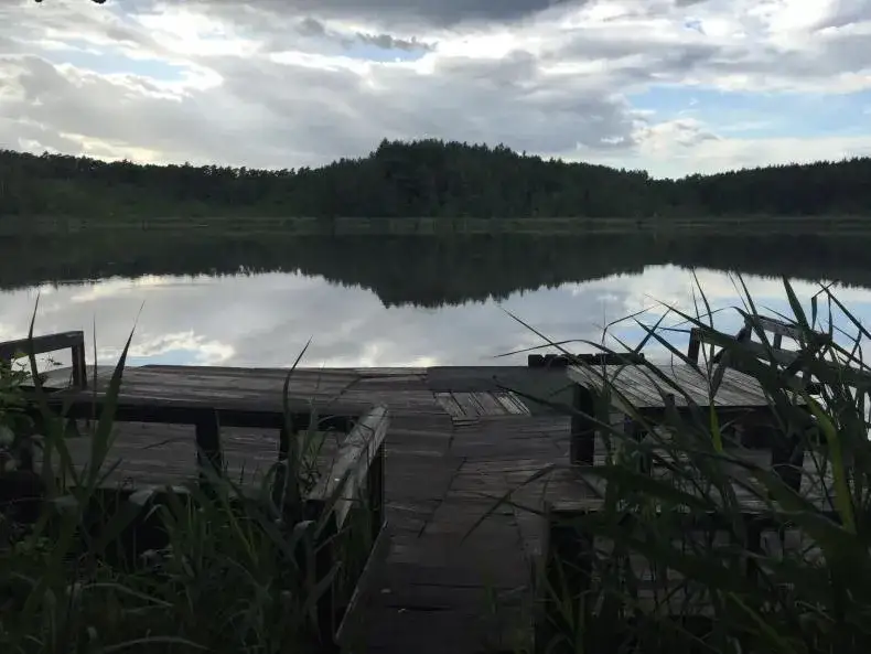 Jezioro Bolechowskie: piękno natury i tajemnice wędkarstwa w Puszczy Zielonce