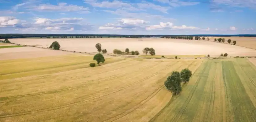 Ile kosztuje dzierżawa gruntu od miasta? Ceny, które zaskakują
