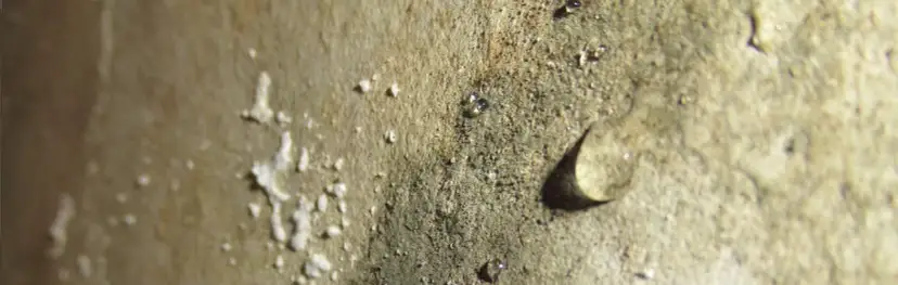 Mokra ściana wewnętrzna co zrobić: skuteczne sposoby na wilgoć