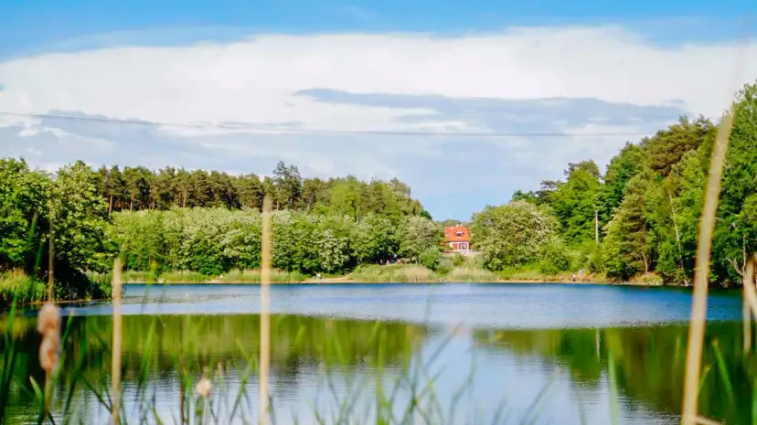 Zielona Góra co zobaczyć: najciekawsze atrakcje, które musisz poznać