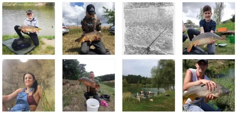 Łowisko Dąbrowa cennik: Ile zapłacisz za wędkowanie i złowione ryby?