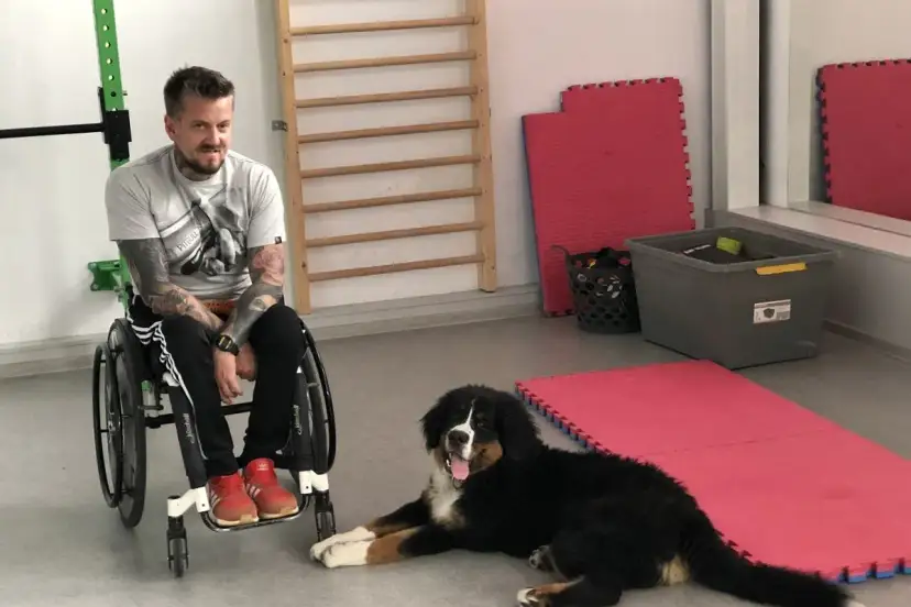 Ile w Polsce jest osób niepełnosprawnych? Zaskakujące statystyki i fakty