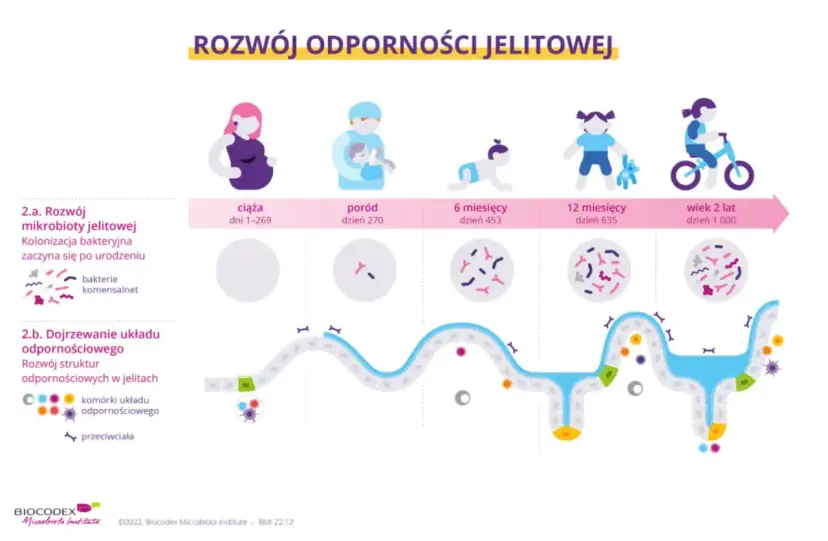 Neutrofile w ciąży: Kiedy norma, a kiedy sygnał alarmowy?
