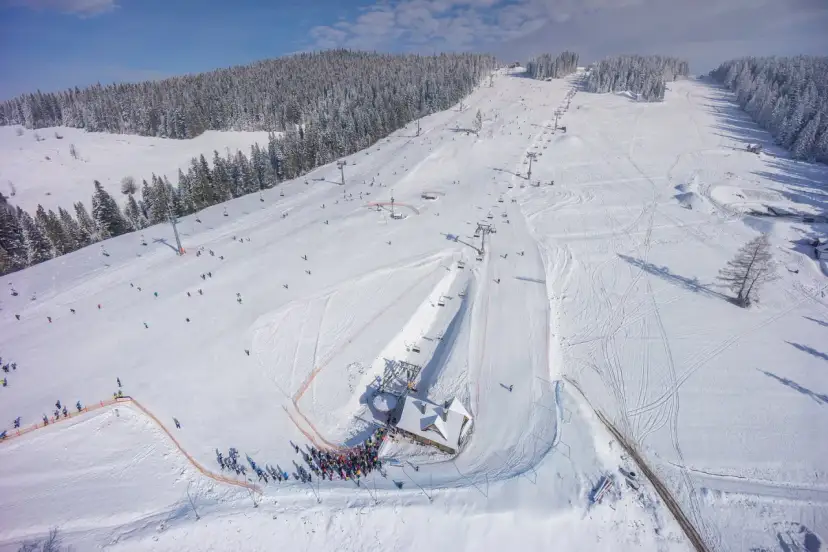 Narty Zakopane: Który stok wybrać? Przewodnik 2025/2026