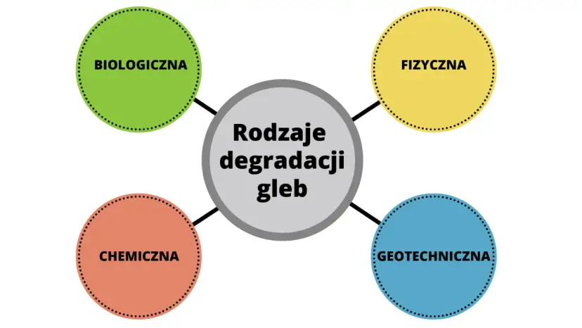 Cichy zabójca gleby: Skąd toksyny i jak chronić Twoją ziemię?