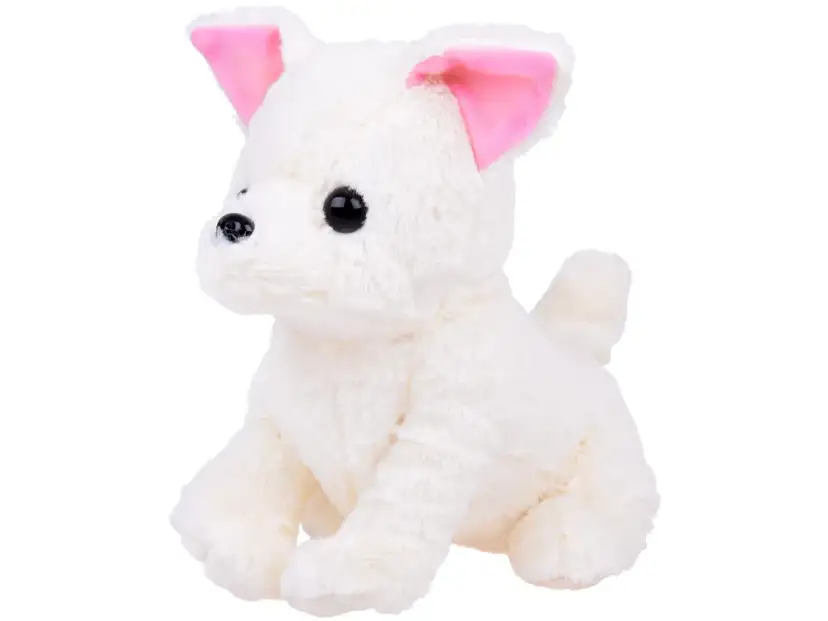 Piesek jak pluszowy miś: poznaj Tonkeya i urocze zabawki