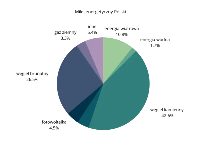 Wykres kołowy pokazujący zróżnicowany miks energetyczny Polski.