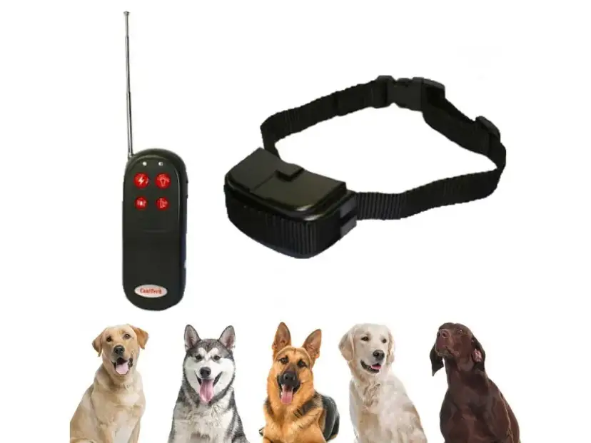 Najlepsza obroża elektryczna dla psa - jak wybrać idealny model