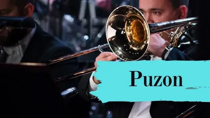 Jak wygląda puzon? Odkryj jego niezwykły design i cechy