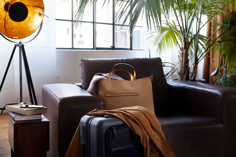 Lufthansa: Gepäck verspätet? Jetzt richtig handeln & Geld sichern