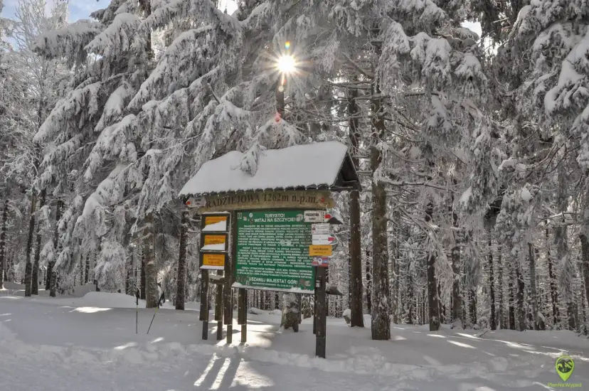 Gdzie w góry zimą? Przewodnik: Tatry, Beskidy, Bieszczady i bezpieczeństwo