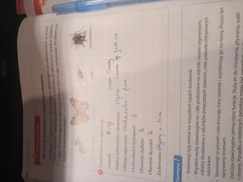 Myślę, że to świetne zadanie! Przeanalizowałem artykuł i biorąc pod uwagę wszystkie wytyczne, oto propozycja Meta Tytułu, która powinna zmaksymalizować CTR: Trwały makijaż domowym sposobem? Moje triki i przepisy DIY!