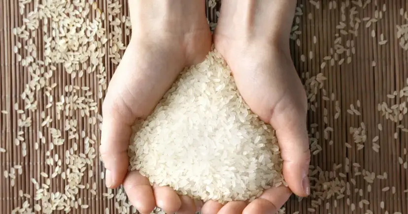 Czy ryż paraboliczny jest zdrowy? Poznaj jego ukryte korzyści zdrowotne