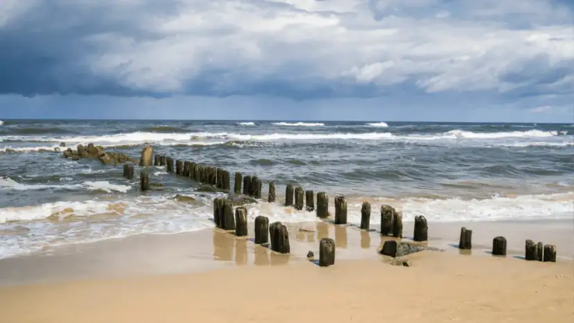 Sinice w Bałtyku: Gdzie zakaz kąpieli? Sprawdź mapę i objawy!