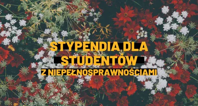 Ile wynosi stypendium dla niepełnosprawnych? Sprawdź, co możesz otrzymać