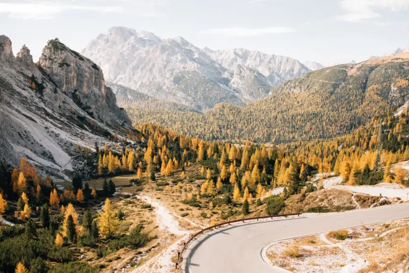 Malownicza droga w Dolomitach, otoczona jesiennymi drzewami, idealne miejsce na camping.