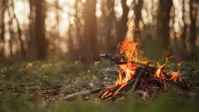 Ognisko w lesie: zasady, kary i legalne miejsca. Sprawdź!