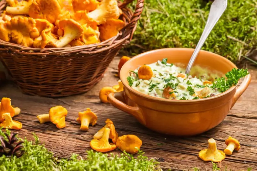 Idealny sos z grzybów leśnych: przepis, który zawsze się uda!