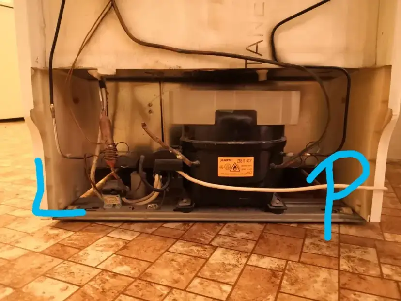 Transport lodówki na boku? Sprawdź, jak to zrobić bezpiecznie!