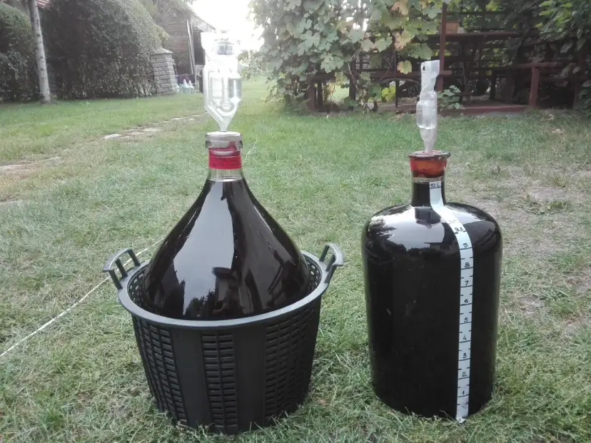 Ile drożdży na 5l wina? Klucz do idealnej fermentacji!