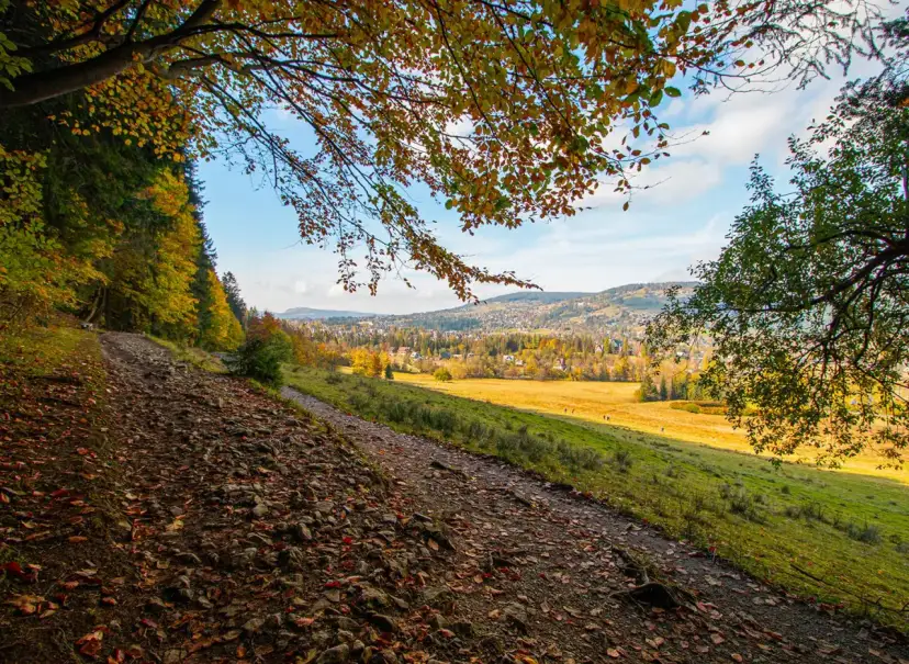 Jesienny szlak prowadzi do malowniczego widoku na Zakopane, idealne miejsce, by zobaczyć, co zwiedzić w okolicy.