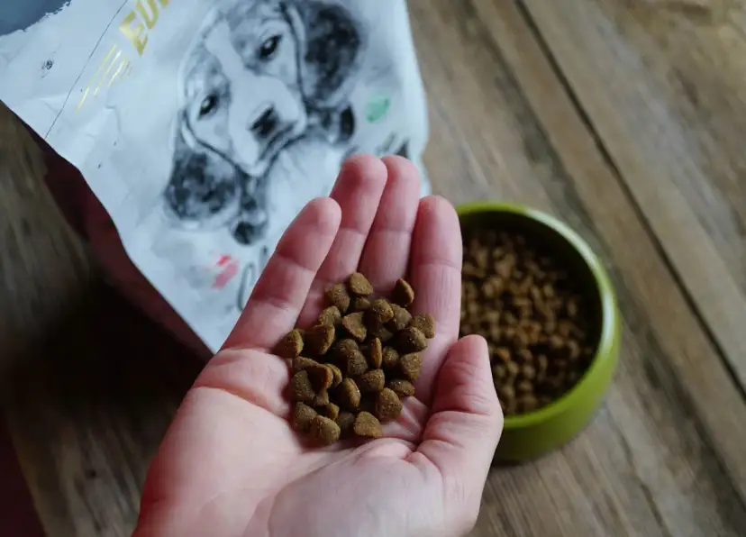 Dłoń trzymająca karmę dla szczeniąt, obok miska i opakowanie z psem.