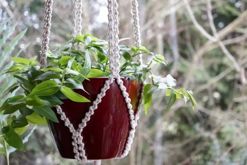 Kwietnik kokon makrama jak zrobić - proste kroki i porady