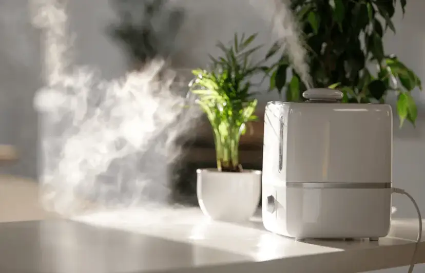 Jaka woda do nawilżacza? Destylowana czy z kranu? Sprawdź!