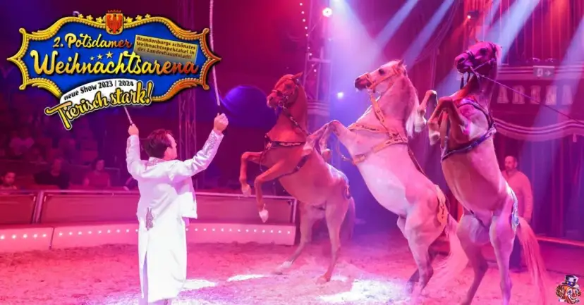 Arena der Attraktionen: Zirkus vs. Phantasialand - Was passt?