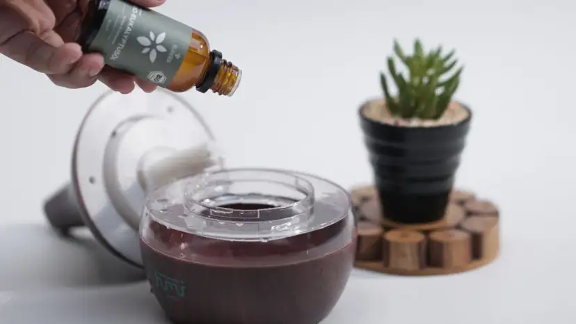 Parfumgeruch entfernen: Nie wieder zu intensiv? Meine Expertentipps