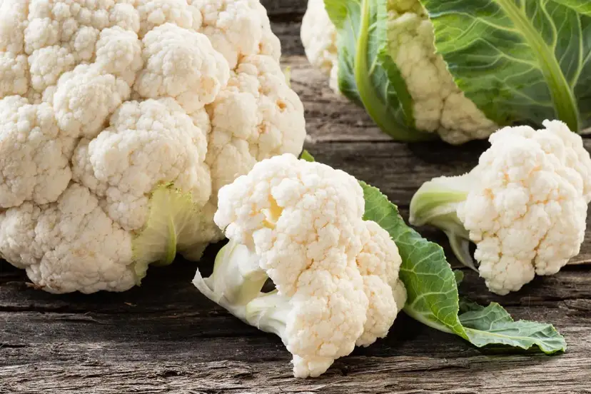 Czy pies może jeść kalafior? Sprawdź, co musisz wiedzieć o jego diecie