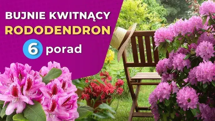 Jak sadzić rododendrony zielone, aby uniknąć błędów i cieszyć się pięknem
