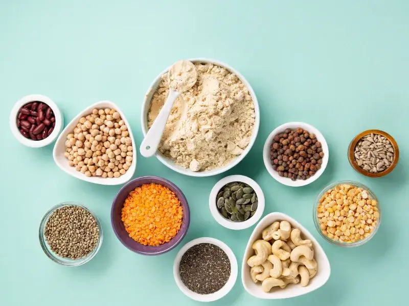 Co zawiera białko roślinne? Odkryj najlepsze źródła i korzyści