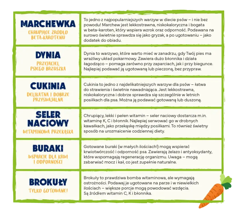 Jakie warzywa dla psa? Bezpieczne i zakazane poradnik eksperta