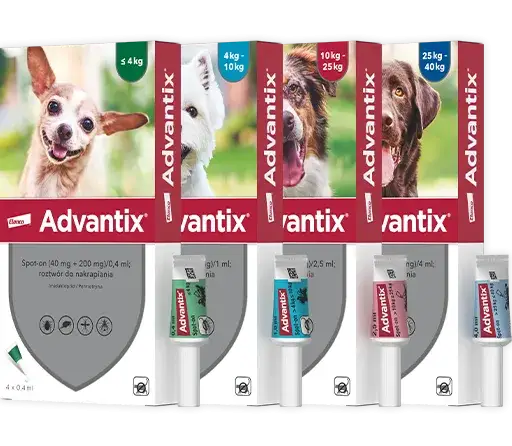 Jak skutecznie stosować advocate dla psów - kluczowe informacje i dawkowanie