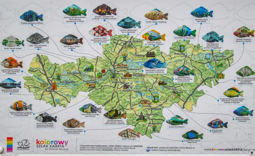 Dolina Baryczy: Gdzie zjeść karpia milickiego? Przewodnik smakosza!