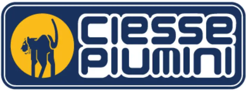 Ciesse Piumini: Co to za marka? Jakość, historia, czy warto kupić?