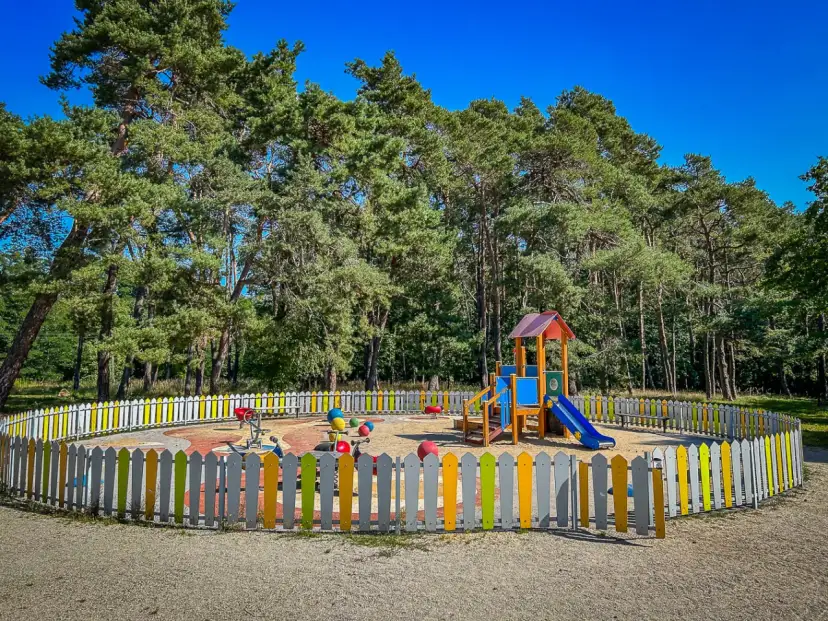 Brzeg Dolny: Atrakcje, które musisz odkryć! Przewodnik z Wrocławia