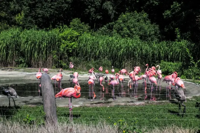 Ostrawa: Atrakcje na weekend? Odkryj industrialne perły!