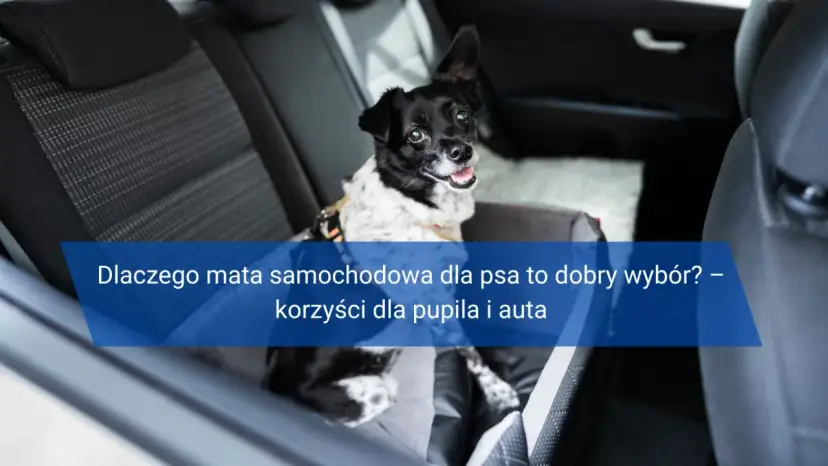 Dlaczego mata samochodowa dla psa to dobry wybór? – korzyści dla pupila i auta