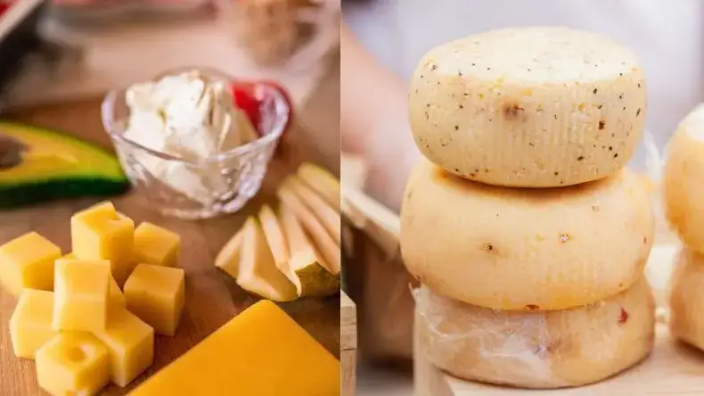 Tradycyjne sery z bacówki: smak, produkcja i gdzie kupić