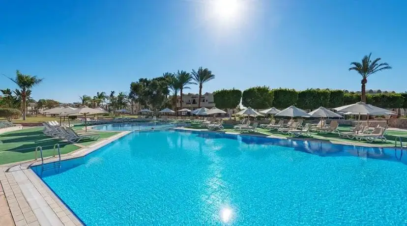 Reef Oasis Beach Resort: Guida Completa e Recensioni 2024